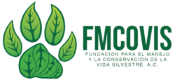 Fundación para el Manejo y la Conservación de la Vida Silvestre A.C.